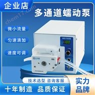 BS-B调速型蠕动泵